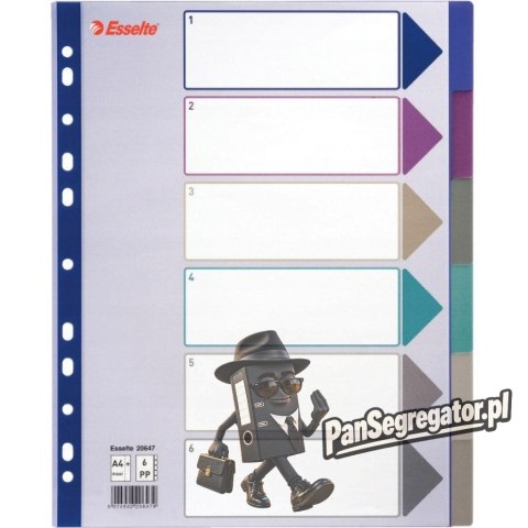 Przekładka PP A4 MULTICOLOR 6 kart 20647 MAXI ESSELTE