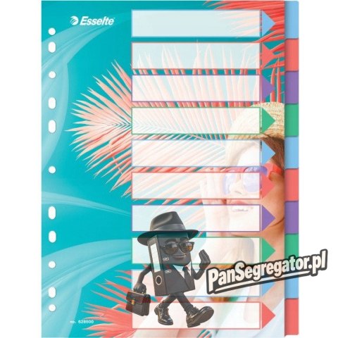 Przekładki Colour`Breeze PP A4 10 przekładek 628500 ESSELTE