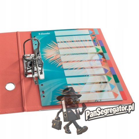Przekładki Colour`Breeze PP A4 10 przekładek 628500 ESSELTE