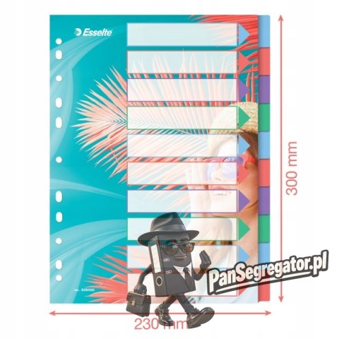 Przekładki Colour`Breeze PP A4 10 przekładek 628500 ESSELTE