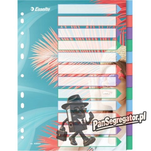 Przekładki Colour`Breeze PP A4 12 przekładek 628501 ESSELTE