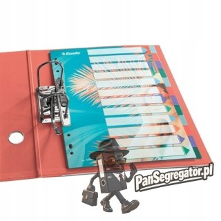 Przekładki Colour`Breeze PP A4 12 przekładek 628501 ESSELTE
