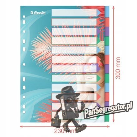Przekładki Colour`Breeze PP A4 12 przekładek 628501 ESSELTE