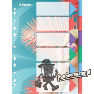 Przekładki Colour`Breeze PP A4 6 przekładek 628499 ESSELTE