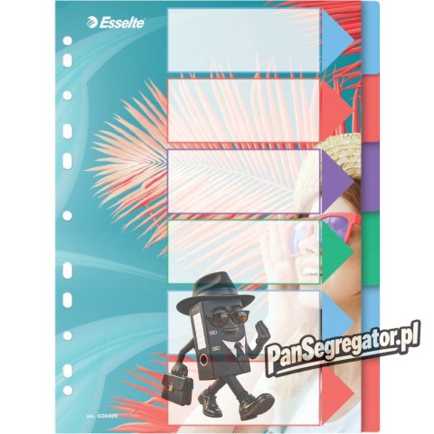 Przekładki Colour`Breeze PP A4 6 przekładek 628499 ESSELTE