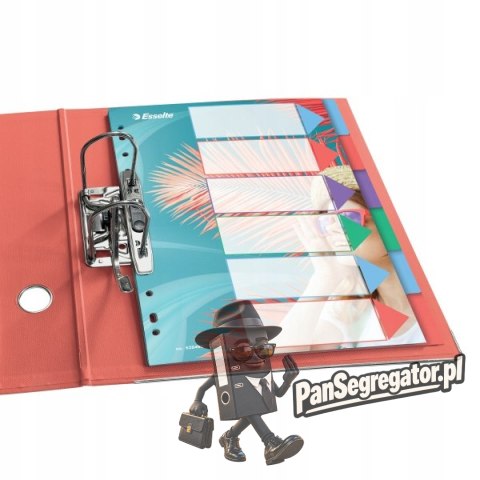 Przekładki Colour`Breeze PP A4 6 przekładek 628499 ESSELTE