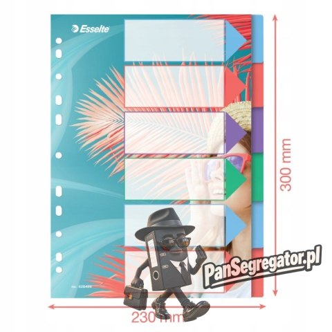 Przekładki Colour`Breeze PP A4 6 przekładek 628499 ESSELTE
