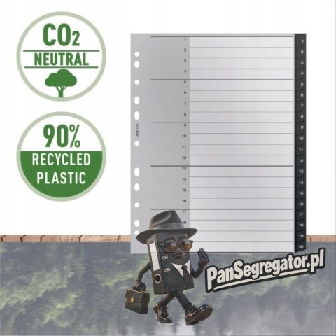 Przekładki Recycle 1 - 20, A4, PP, czarne 12110000 LEITZ
