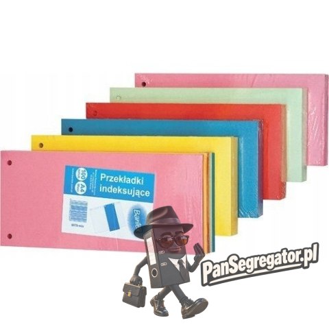 Przekładki do segregatora kartonowe 1/3 A4 zestaw 5 kolorów x 20 sztuk 100553887 ELBA