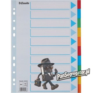 Przekładki karton A4 10 kart ESSELTE 100193 kolorowe z kartą opisową