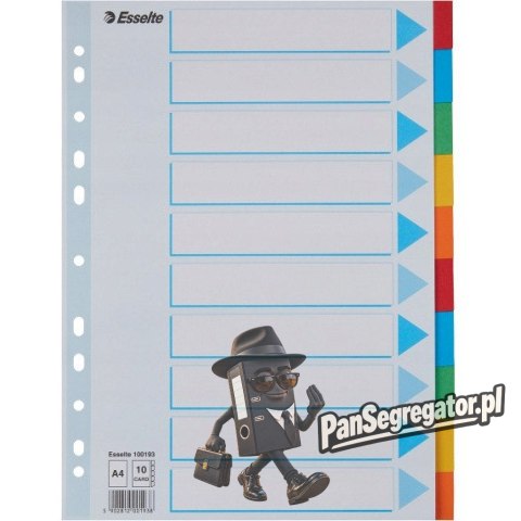 Przekładki karton A4 10 kart ESSELTE 100193 kolorowe z kartą opisową