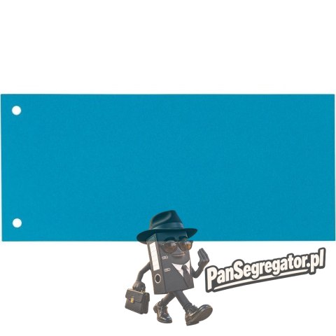 Przekładki kartonowe 1/3 A4 (100) niebieskie (separatory) 624445 ESSELTE