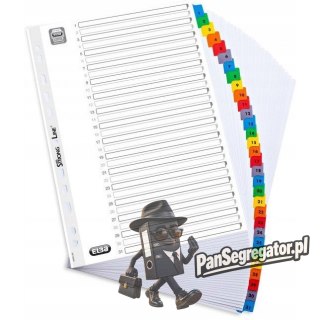 Przekładki kartonowe A4 MYLAR 1-31 numeryczne wzmocnione 100204620 OXFORD