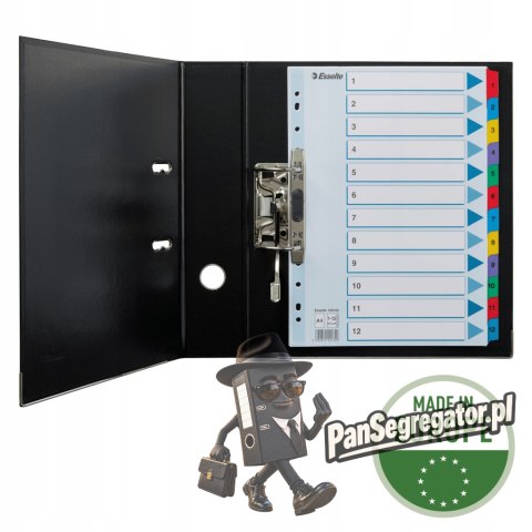 Przekładki kartonowe MYLAR A4 1-12 białe 100162 ESSELTE