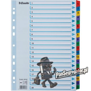 Przekładki kartonowe MYLAR A4 1-20 białe 100163 ESSELTE