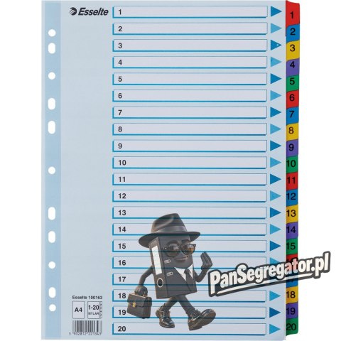 Przekładki kartonowe MYLAR A4 1-20 białe 100163 ESSELTE