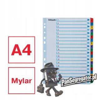 Przekładki kartonowe MYLAR A4 1-20 białe 100163 ESSELTE