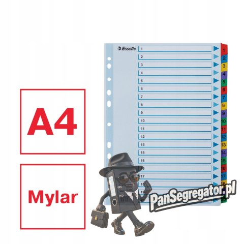 Przekładki kartonowe MYLAR A4 1-20 białe 100163 ESSELTE