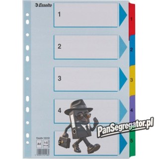 Przekładki kartonowe MYLAR A4 1-5 białe 100160 ESSELTE