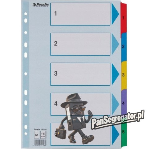Przekładki kartonowe MYLAR A4 1-5 białe 100160 ESSELTE