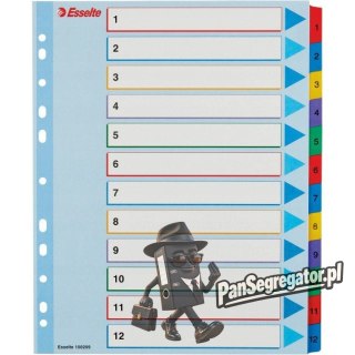 Przekładki kartonowe MYLAR A4 MAXI 1-12 ESSELTE 100209
