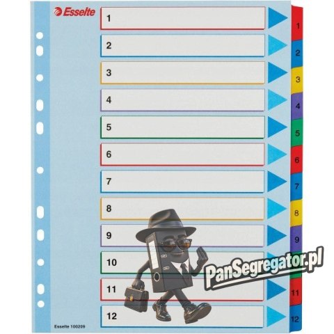 Przekładki kartonowe MYLAR A4 MAXI 1-12 ESSELTE 100209