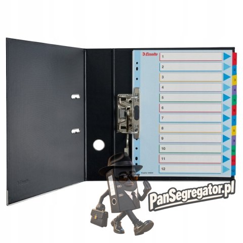 Przekładki kartonowe MYLAR A4 MAXI 1-12 ESSELTE 100209