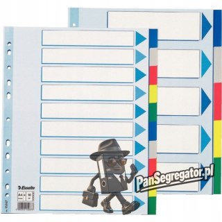 Przekładki plastikowe MAXI z PP 10 kart 15267 ESSELTE