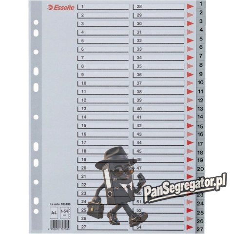 Przekładki plastikowe numeryczne A4 1-54 szare ESSELTE 100109