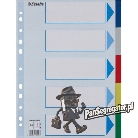 Przekładki plastikowe z PP A4 5 kart 15259 ESSELTE