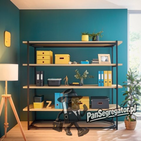 Pudełko do przechowywania Leitz Click&Store Cosy duże niebieskie 53490061
