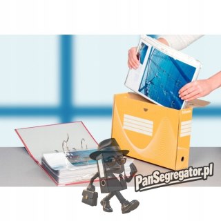 Pudło archiwizacyjne na dokumenty 100mm Standard żółte 128423 ESSELTE