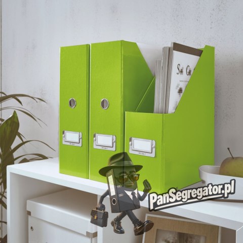 Pudło na czasopisma Leitz C&S, zielone 60470054