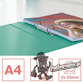 Segregator A4/35/2 ringi COLOUR`ICE zielony 626498 ESSELTE