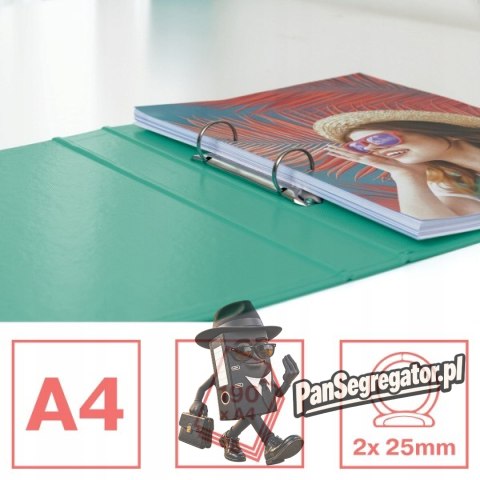 Segregator A4/35/2 ringi COLOUR`ICE zielony 626498 ESSELTE