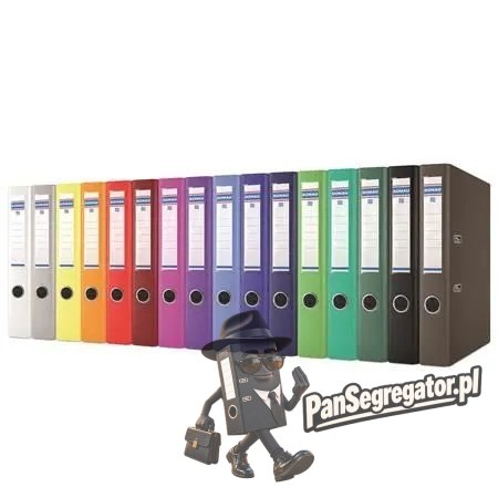 Segregator A4/5 MASTER jasno zielony 3950001PL-41 DONAU