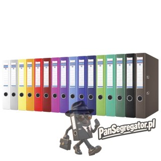 Segregator A4/5 MASTER różowy 3950001-30 DONAU
