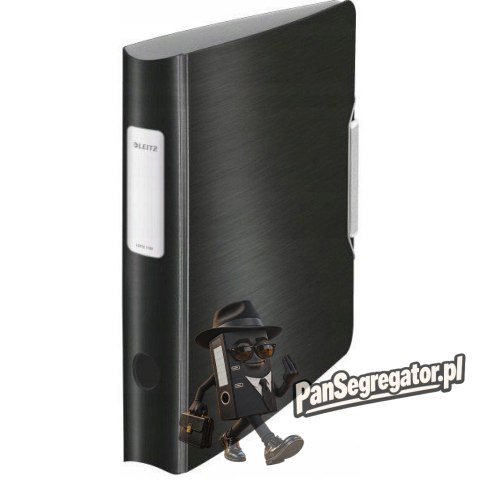 Segregator A4/50mm ACTIVE STYLE czarny 11090094 LEITZ 180