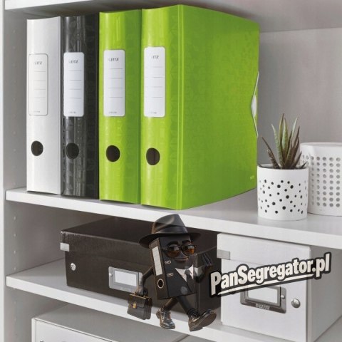 Segregator A4/75mm ACTIVE WOW zielony 11060054/11060064 LEITZ 180