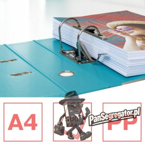 Segregator A4/75mm COLOUR'ICE niebieski No.1 ESSELTE 626504