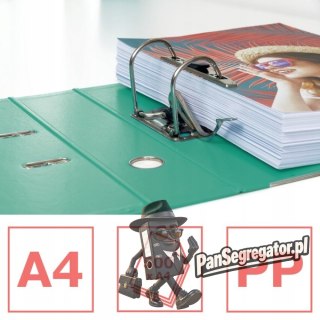 Segregator A4/75mm COLOUR'ICE zielony No.1 ESSELTE 626505