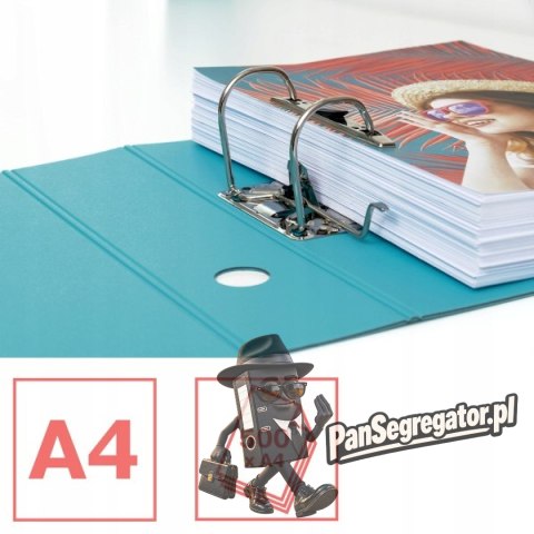 Segregator A4/80mm COLOUR"ICE niebieski ESSELTE 626217