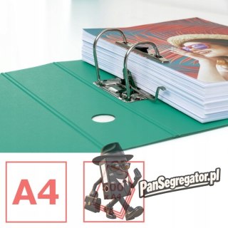 Segregator A4/80mm COLOUR'ICE zielony ESSELTE 626218