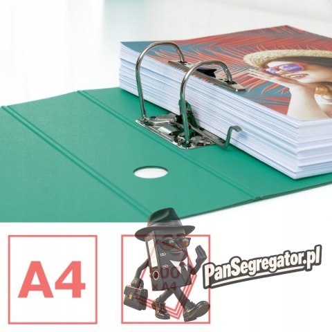 Segregator A4/80mm COLOUR'ICE zielony ESSELTE 626218
