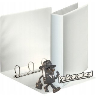 Segregator PANORAMA A4 4DR/40 63mm biały ofertowy ESSELTE 49704
