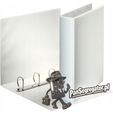 Segregator PANORAMA A4 4DR/40 63mm biały ofertowy ESSELTE 49704