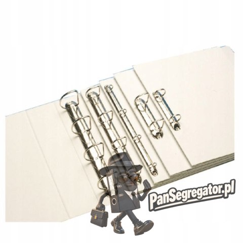 Segregator PANORAMA A4 4DR/40 63mm biały ofertowy ESSELTE 49704