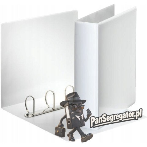 Segregator PANORAMA A4 4DR/50 77mm biały ofertowy ESSELTE 49705