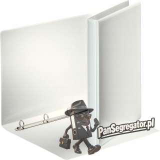 Segregator PANORAMA A4 4RR/16 30mm biały ofertowy 49700 ESSELTE