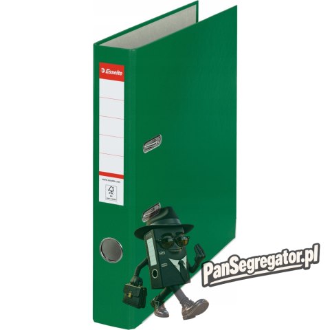 Segregator ekonomiczny A4/50mm zielony 81196 ESSELTE